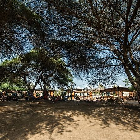 Shkedi'S Camplodge Neot HaKikar Zewnętrze zdjęcie
